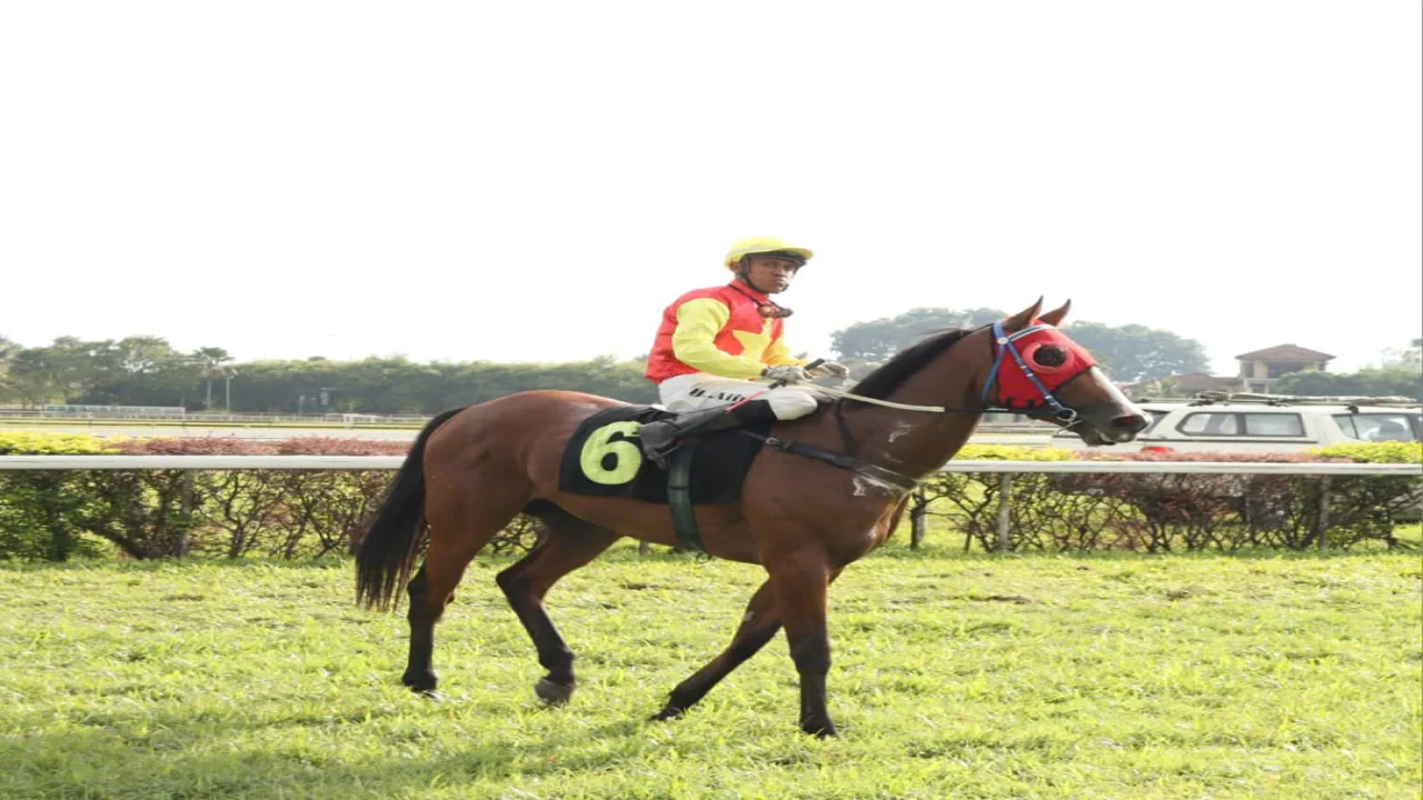 Căn hộ 250 m2 thiết kế tối giản cho gia chủ 'chữa lành'